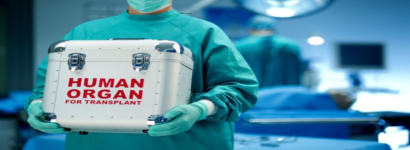 Organ Transplantation mediapple